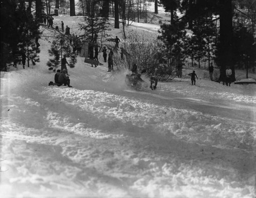 Tobogganing at Big Pines