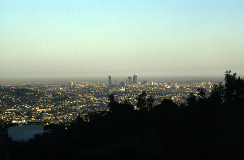 Downtown Los Angeles from Griffith Park