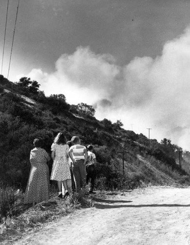 Griffith Park fire