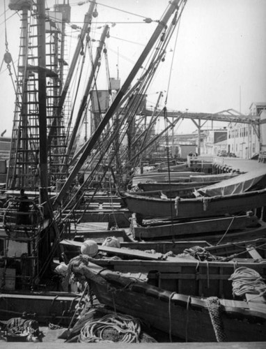 Fishing boats at Terminal Island