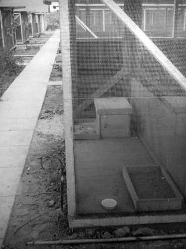 Rows of cages at the Chapman Chinchilla Farm