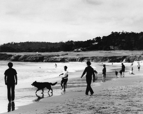 Beach scene, Carmel-by-the-Sea