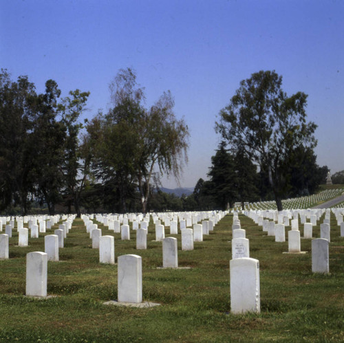 Veteran's Administration Cemetery