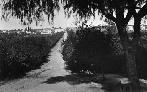 Colorado Street in 1884, Pasadena