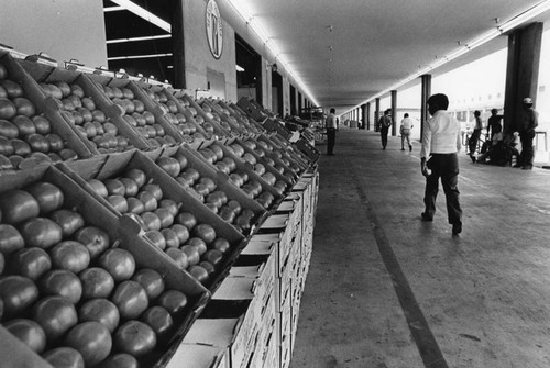 Produce now available at new market in downtown Los Angeles