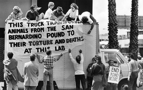 Animal rights demonstration — Calisphere