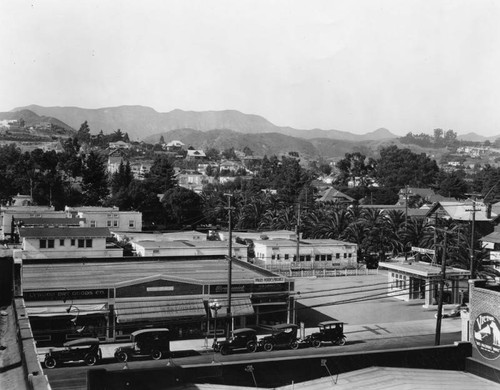 Homes in the Hollywood Hills