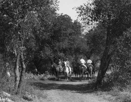 Flintridge Bridle trail