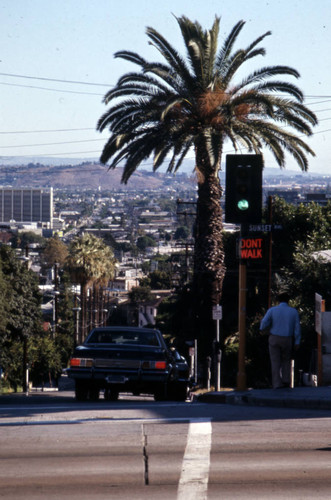 Sunset Boulevard and Larrabee Street