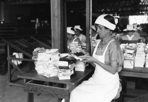 Inspecting boxes of dates