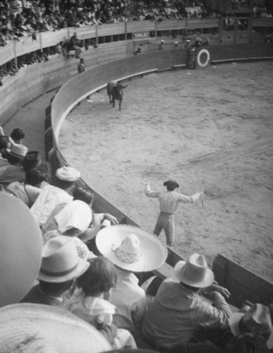 Bull versus Banderillero, El Toreo de Tijuana