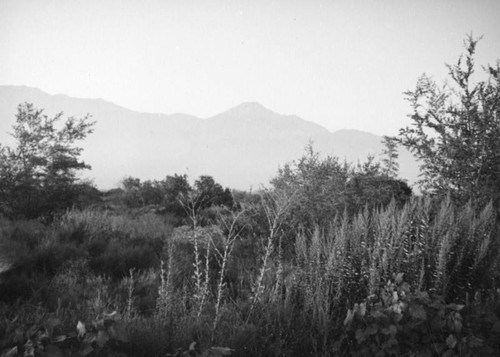 San Gabriel Mountains from Upland