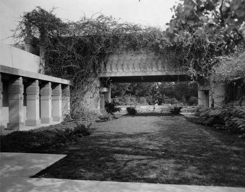 Hollyhock House, archway and greenery