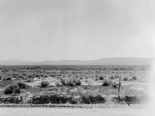 Antelope Valley