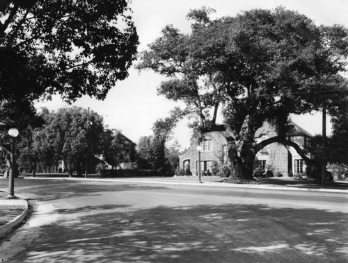 Oak Knoll Ave. in Pasadena