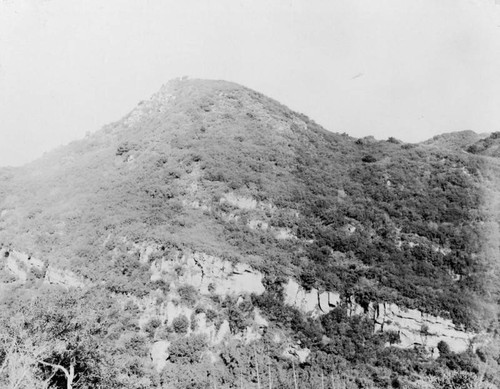 Fault scarp of Topanga Canyon fault