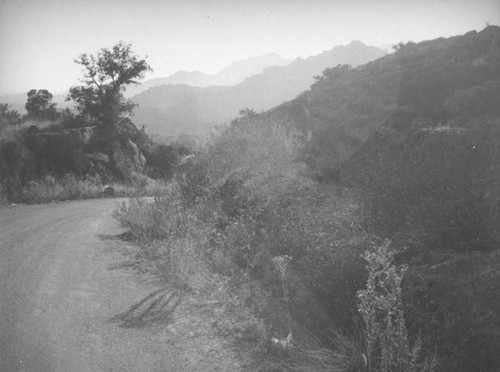 Road through the Santa Susana Pass