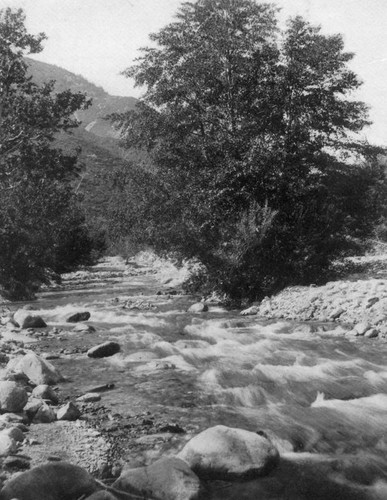 Arroyo Seco stream