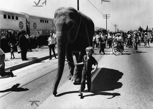 Ringling Bros. circus arrives in Los Angeles