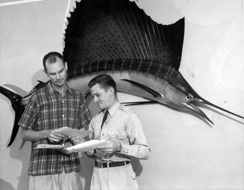 Whale of sailfish story