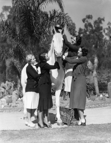 Crowning the horse