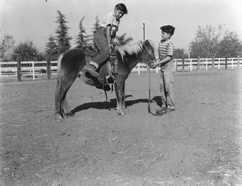 Mounting a pony