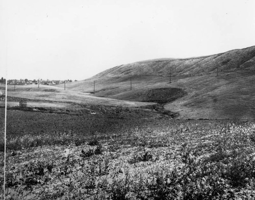 Monterey Pass Road area