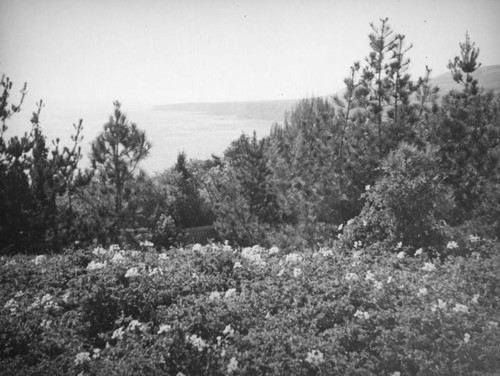 View from the Harden House estate