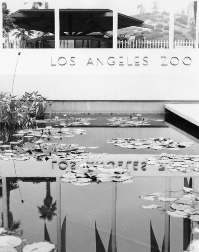 Pond at Los Angeles Zoo