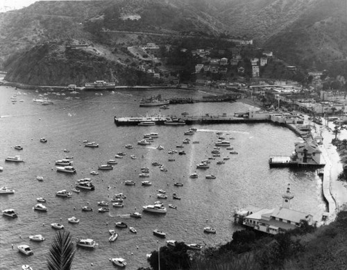 Avalon's harbor during a busier season