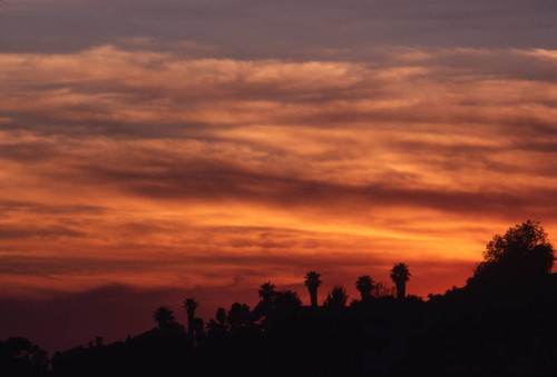 Pacific Palisades at sunset