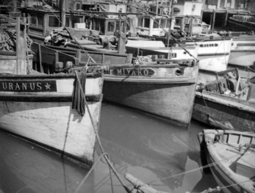 Fishing boats moored at Terminal Island