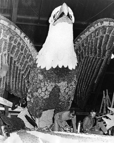 American eagle ready to fly in Pasadena Rose Parade