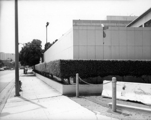 Parker Center Landscape