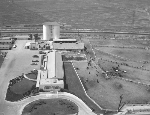 Pellissier Dairy Farms, Workman Mill Road, looking west