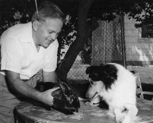 Pets make friends at shelter