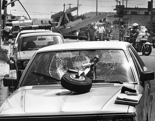 Crash in Venice Beach