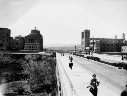 Bridge at U.C.L.A., view 3