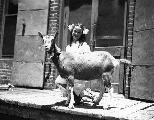 Child and goat