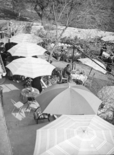 Dining under umbrellas, Wistaria Vine, Sierra Madre