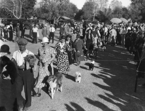 Dog show in Palm Springs, view 6