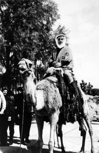 Armenian man on camel