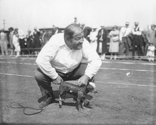 Hairless Chihuahua at the race track