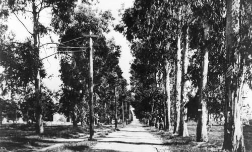 Beachwood Drive and Santa Monica Blvd