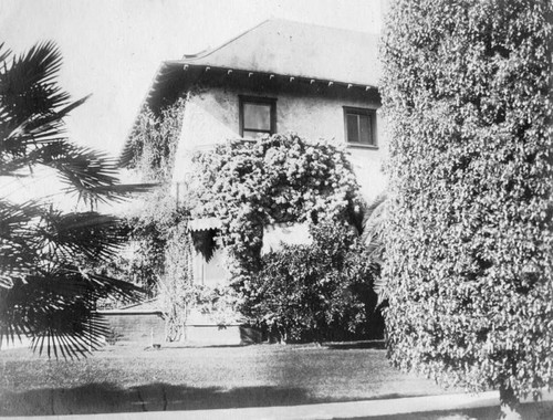 Bogavalia vines on a home, Pasadena