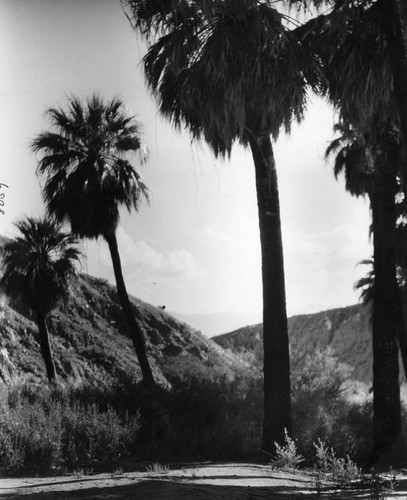 View at Twentynine Palms