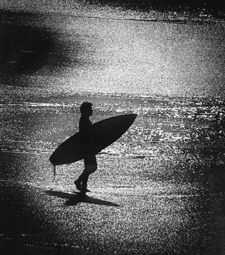 Surfers silhouette