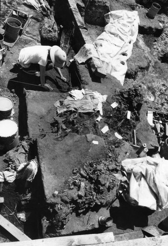 Rancho La Brea excavation