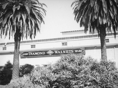 Diamond Walnut packing plant