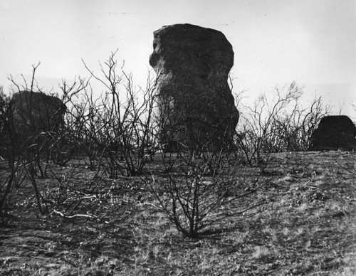 Vaqueros sandstone monolith, Santa Monica Mountains